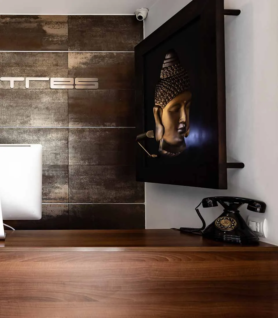 Detalle de la recepción, con la pared de piedra y un cuadro de Buda